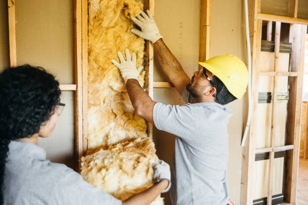 Best Home Insulation Services  in St Francis, KS