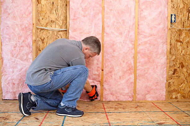 Best Insulation Repair Services  in St Francis, KS